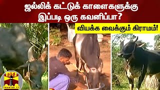 ஜல்லிக் கட்டுக் காளைகளுக்கு இப்படி ஒரு கவனிப்பா?... வியக்க வைக்கும் தஞ்சை கிராமம்!