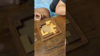 Solution to the Wooden Puzzle