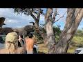 Botswana Self Drive 2026 - Trailer