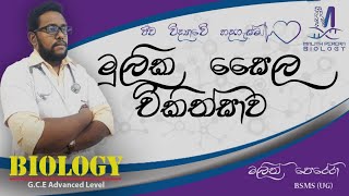 Episode : 09 |මූලික සෛල චිකිත්සාව|ව්‍යවහාරික  ජීව විද්‍යාව උසස්පෙල ජීව විද්‍යාව සිංහල AL bio sinhala