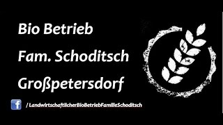 BIO Betrieb Fam Schoditsch  -  Jahresrückblick 2015 / #landwirt100k