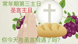 Fr. Peter 常年期第三主日(丙) 圣言主日 路加福音1:1-4, 4:14-21 (纽约显圣容堂) 1/23/22