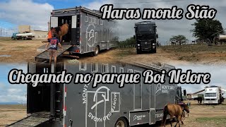 HARAS MONTE SIÃO CHEGANDO NO PARQUE BOI NELORE ETAPA PIX BET PORTAL VAQUEJADA 2025