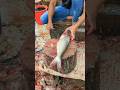 Amazing! Attractive Best Pangas Fish Cutting Skills 😱😳 #shorts