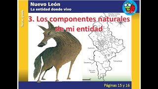 3. La naturaleza de mi entidad.