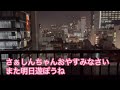 2022.11.11 小鳥の病院に健康診断いったよ　【セキセイインコしんちゃんときょきょの暮らし】