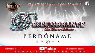 Deslumbrante de Tierra Kaliente - Perdóname (2019)