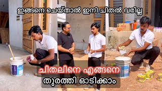 വീട്ടിൽ ചിതലുണ്ടെങ്കിൽ ചിതലിനെ നശിപ്പിക്കാൻ നല്ലൊരു  മാർഗ്ഗം പറഞ്ഞു തരാം ഇങ്ങനെ ചെയ്‌താൽ ചിതൽ വരില്ല