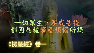 【楞嚴經】客塵煩惱是客，是會變異，會走的，但是我們的常住真心是不會變異，不會離去，不會走的｜宣化上人｜佛子