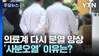 '한목소리' 못 내는 의사들...'사분오열' 이유는? / YTN