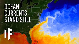 What If the Gulf Stream Current Stopped?