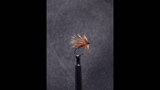 Rusty Brown Dry Autumn Caddis Fly #fishing #caddis #flyfishing #dryfly #flytying #insects #trout