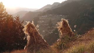 にし阿波の傾斜地農耕システム