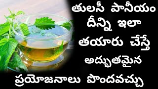 Tulsi Kashayam(Tea) - తులసి కషాయం ఇలా చేస్తే - Good Health Tips |  Ayurvedic Medicine Telugu Review