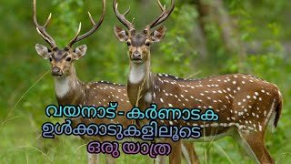 വയനാട് - കർണാടക ഉൾ കാട്ടിലൂടെ ഒരു സഫാരി//Travelling  wayanad  to karnataka //Malayalam  travelling