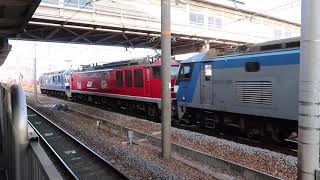 EF66-118, EF210-120, EF210-304+EF510-13+EF210-154@千里丘