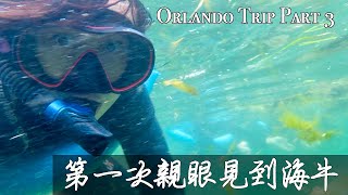 跟海牛游泳｜沼澤搭氣船｜奧蘭多一日遊｜佛羅里達州奧蘭多旅遊Orlando Trip Part 3