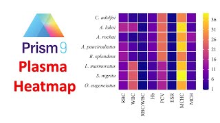 How to Draw a Plasma Heatmap in GraphPad Prism | Statistics Bio7 | Mohan Arthanari