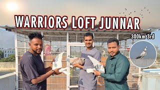 Racing Pigeons of Warriors Loft | 200km \u0026 300km Placement Pigeons in AJPA Club 2025