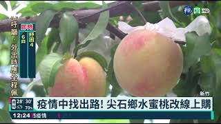 水蜜桃產季到! 武陵農場推線上團購｜華視新聞 20210624