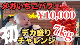 【デカ盛り】10000円のいちごパフェ食べてみた。