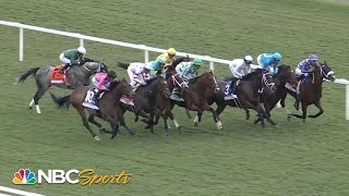 Canadian Turf Stakes 2024 (FULL RACE) | NBC Sports