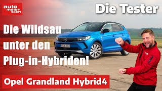 Opel Grandland Hybrid4: Die effiziente 300-PS-Wildsau! - Test | auto motor und sport