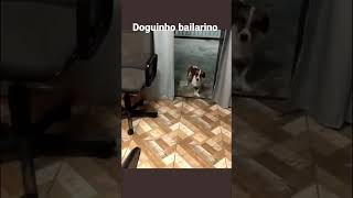 doguinho bailarino