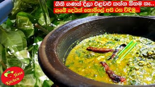 Kohila curry is good for many diseases|ගිනි ගනන් දීලා එළවළු එපා ගමේ දෙයින් රස විඳිමු|Hasa Kitchen