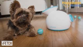 iFETCH- Interactive Ball Throwers for Dogs