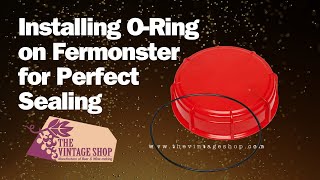 How to Install the O-Ring Fermonster for Perfect Sealing for Wine or Beer Fermentation