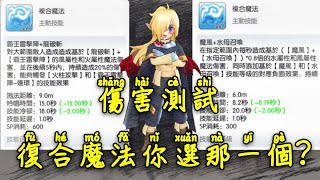 守護永恆的愛 RO 秀逗魔導士 復合魔法 攻擊傷害測試