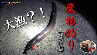 大量？海の魔物釣りに挑戦！アナゴ【夜釣り編】