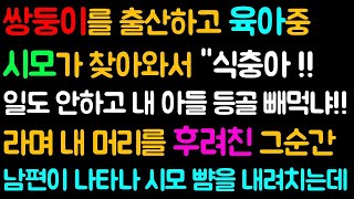 반전 사이다사연 쌍둥이를 출산하고 육아중 시모가 찾아와서  일도 안하고 내 아들 등골빼먹고 있네  라며 내 머리를 후려친 그순간 남편이 나타나 시모를 사정없이