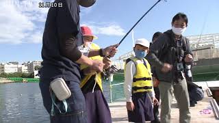 明石の小学生がタイの稚魚放流