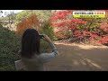 武雄市御船山楽園 紅葉見ごろ【佐賀県】 20 11 18 19 07