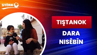 Tiştanok - Dara / Nisêbîn