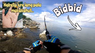 Bidbid vs Hairclip Lure | Capaci Travel Rod matibay talaga | Manila Bay Fishing