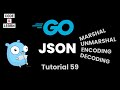 JSON Marshal, Unmarshal, and Encoding/Decoding in Go with Code Examples