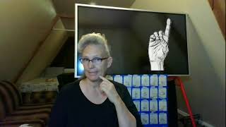 D Handshape