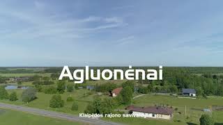 Agluonėnai