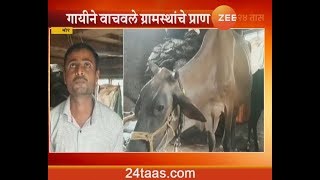 Pune,Bhor Cow Save Villegers From Fire Incident