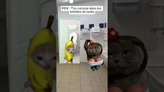 POV: T'es coincée dans les toilettes du lycée #humour #drole #catmemes #pov #sketch