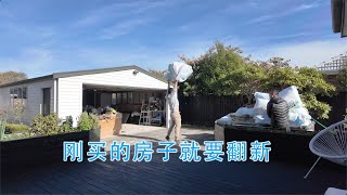 刚买的房子就要翻新(新西兰 Harold Vlog 848)