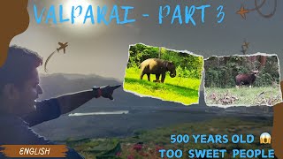 Valparai Part-3 India🇮🇳 | TopSlip | Parambikulam | Elephant, Tiger Safari |Travel Guide English Vlog