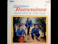 Guyana coming Back. Dave Martins and the Tradewinds