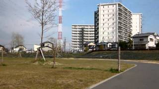 ３月１１日 地震 埼玉県川口市 震度５度強 （公園）