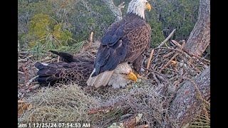 AEF NEFL EAGLES ⭐GABBY RETURNED AFTER DARK WITH POSSIBLE INJURY⭐PRAYERS FOR HER \u0026 BEAU!🙏🏼🦅🦅🥚🥚🙏🏼