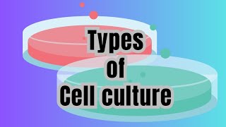 Types of Cell Culture | Burhan Ul Haq | The Biotechnology Academy