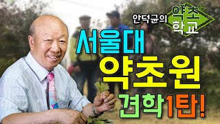 대한민국 본초학 1인자와 함께하는 서울대 약초원 견학 1탄  [안덕균의 약초학교 EP.18]